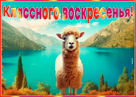 Postcard радужно-яркая открытка классного воскресенья!