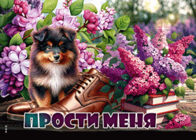 Picture расслабляющая гиф-открытка, за все прости