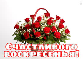 Postcard романтическая открытка шлет пожелание счастливого воскресенья