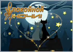 Postcard романтичная открытка спокойной ночи с кошечками