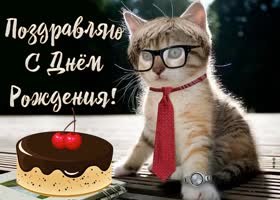 Picture с днем рождения мужчине