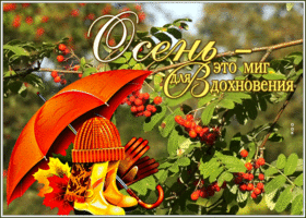 Postcard с осенью