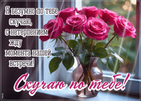 Picture сентиментальная гиф-открытка, я безумно скучаю