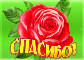 Открытка сердечное спасибо друг мой