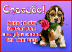 Открытка сердечное вам спасибо