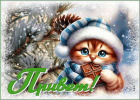 Picture сердечная гиф-открытка шлет привет с котиком