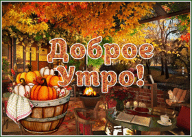 Postcard шикарная картинка добре утро с осенью
