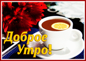Postcard шикарная открытка доброе утро с красными цветами