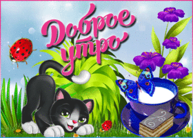 Открытка симпатичная картинка доброе утро