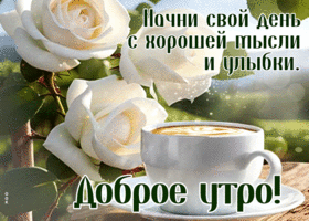 Picture симпатичная гиф-открытка, доброе утро, начни свой день с хорошей мысли