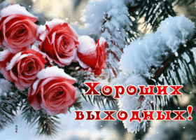 Picture симпатичная гиф-открытка желает вам хороших выходных