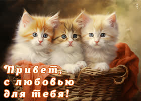 Picture симпатичная открытка привет с любовью для тебя
