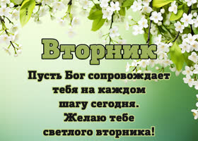 Picture симпатичная открытка со светлым вторником