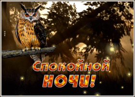 Открытка сияющая картинка спокойной ночи с совой