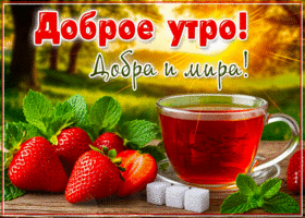 Postcard сияющая гиф-открытка, доброе утро, мира и добра