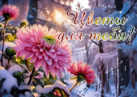 Picture сияющая гиф-открытка с цветами для тебя