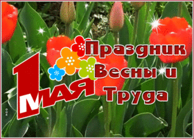 Postcard сияющая картинка с 1 мая