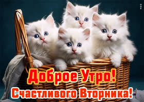 Postcard сияющая открытка с пожеланием доброго утра понедельника
