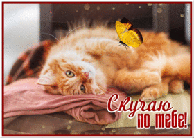 Postcard сияющая открытка скучаю по тебе с кошечкой
