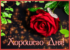 Postcard сияющая открытка хорошего дня с розой и звездами