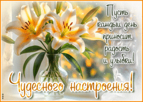 Postcard сказочная гиф-открытка, пусть каждый день приносит радость