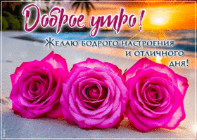 Postcard сказочная гиф-открытка, желает бодрого утра