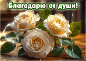 Picture сказочно-нежная гифка благодарю от души