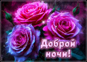 Postcard скромная гиф-открытка, обворожительной ночи как эти розы
