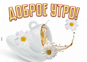 Picture славная картинка доброе утро с ромашковым чаем