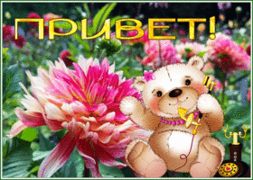 Picture славная картинка привет с милым мишкой