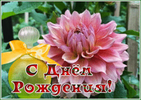 Picture славная картинка с днем рождения женщине с хризантемой