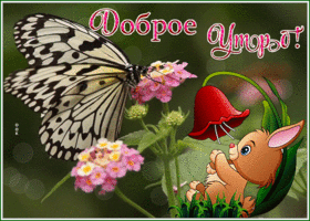 Postcard славная открытка доброе утро с анимацией
