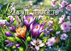 Picture словная гиф-открытка, дарите нежность