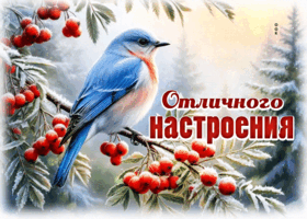 Postcard снежная чудесная гифка отличного настроения