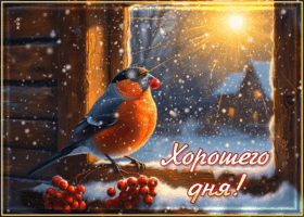 Picture снежная чудная гифка хорошего дня