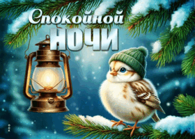 Picture снежная искренняя гифка спокойной ночи