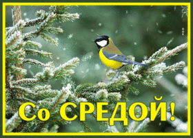 Picture снежная картинка со средой с синичкой