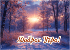 Postcard снежная очаровательная гифка доброе утро