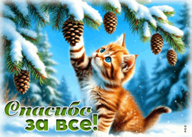 Picture снежная очаровательная гифка спасибо за все