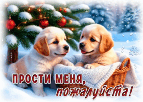 Postcard снежная праздничная гиф-открытка прости меня, пожалуйста