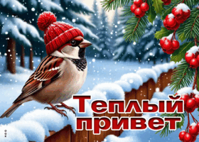 Picture снежная трогательная гифка теплый привет