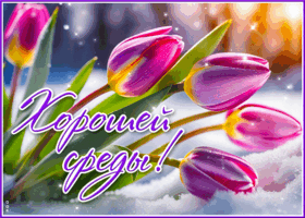 Postcard снежная волшебная гиф-открытка хорошей среды