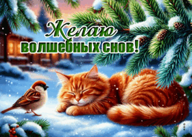 Picture снежная яркая гифка желаю волшебных снов