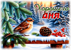 Picture снежная заснеженная гифка хорошего дня