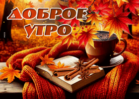 Picture согревающая гиф-открытка, доброго осеннего утра