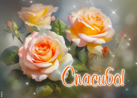 Postcard согревающая гиф-открытка, спасибо тебе