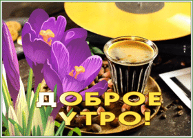 Открытка солнечная картинка доброе утро