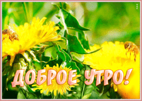 Открытка солнечная открытка с добрым утром