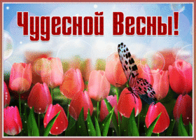 Картинка солнечная открытка счастливой весны