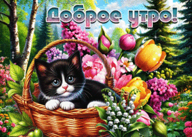 Postcard сотворённая гиф-открытка, желает доброго и чудесного утра